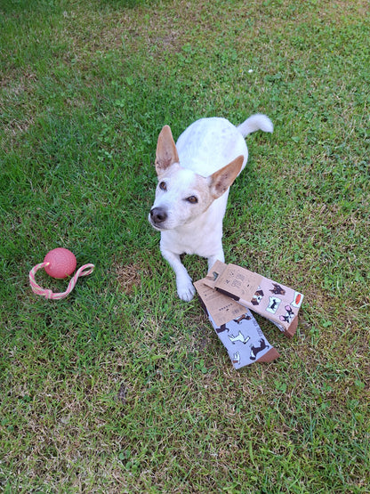 Socken Hunde - bunt & besonders