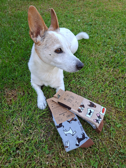 Socken Hunde - bunt & besonders