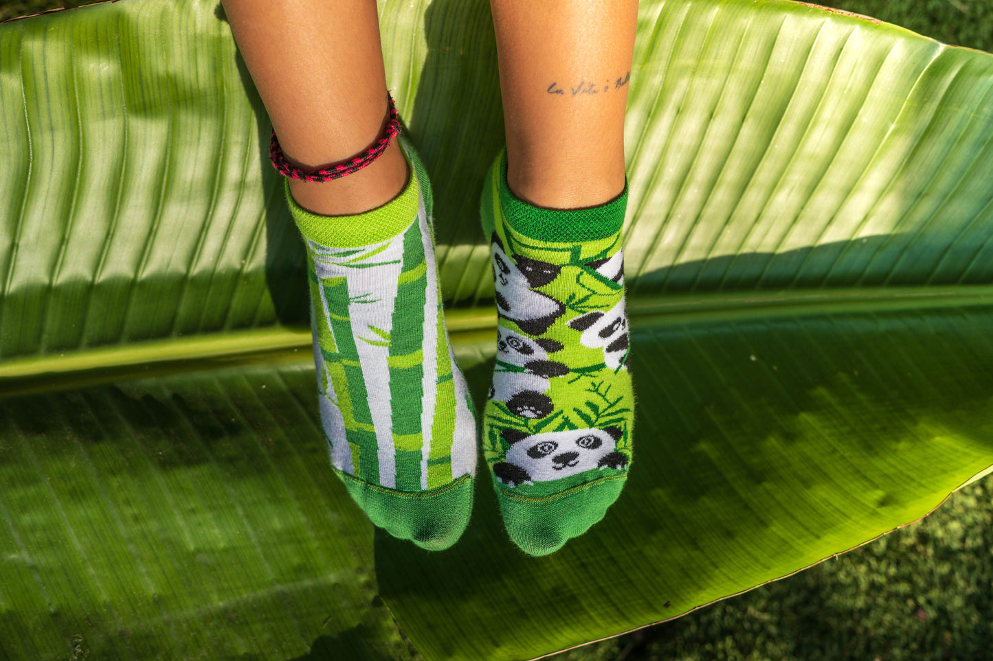 Sneakersocken Panda - bunt & besonders