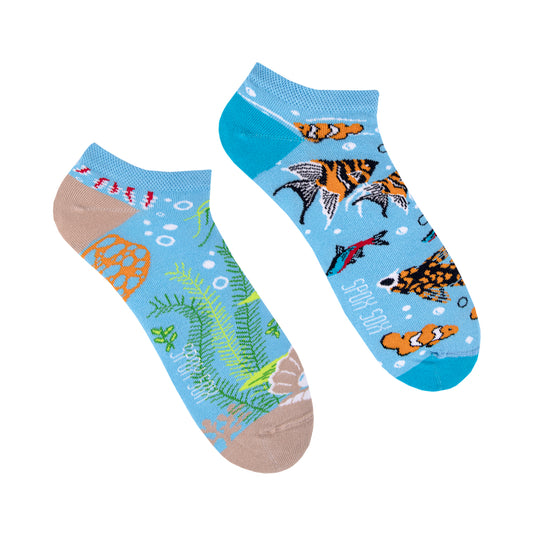 Sneakersocken Aquarium - bunt & besonders