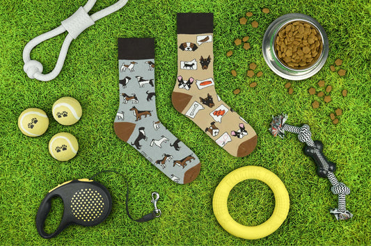 Socken Hunde - bunt & besonders